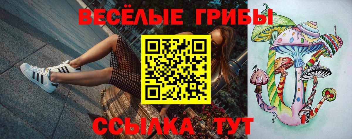 Галлюциногенные грибы Magic Shrooms  цены   Галлюциногенные грибы мухоморы  Светлоград  Вход с VPN 