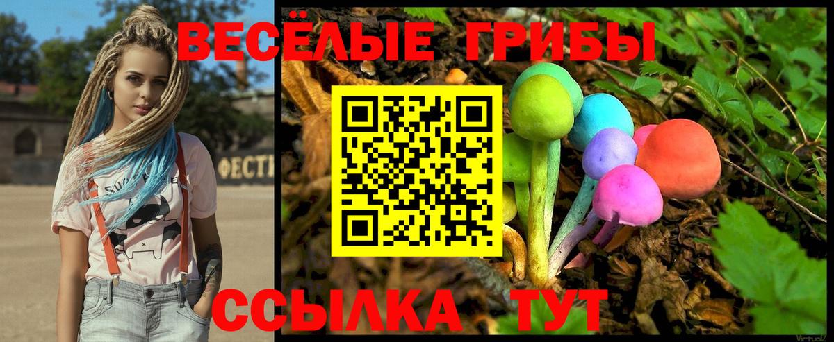 Галлюциногенные грибы MAGIC MUSHROOMS Светлоград